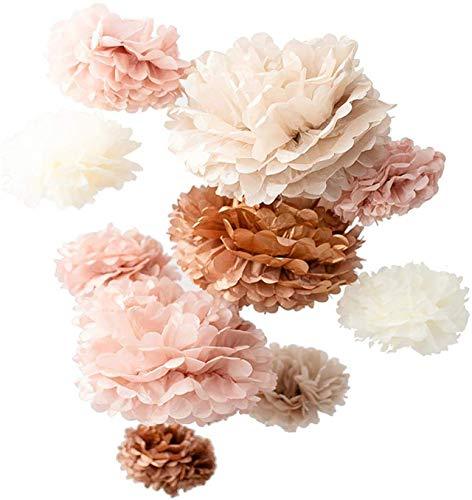 6 Pack Pink Tissue Paper Pom Poms Flower Balls, Ceiling Wall Hanging  Decorations 10