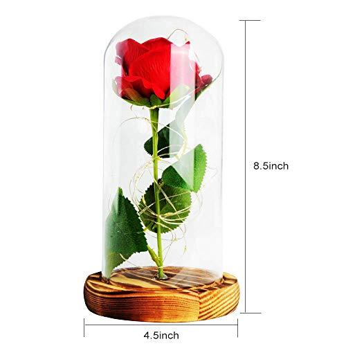 Rose Night Light, Best Birthday Gift for Mom, Gifts for Girlfriend, Red Rose with Light - If you say i do