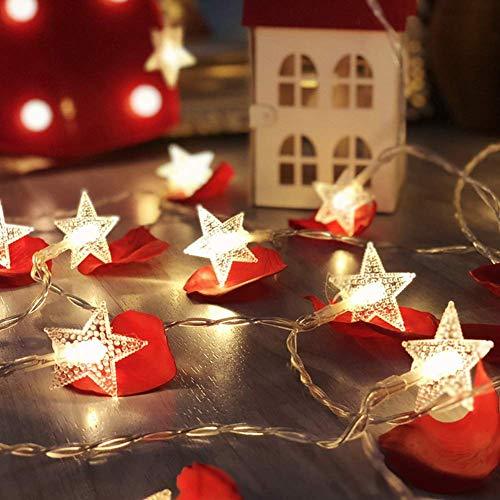 100 LED Star String Lights, Plug in Fairy String Lights Waterproof, Extendable for Indoor, Outdoor, Wedding Party, Christmas Tree - If you say i do