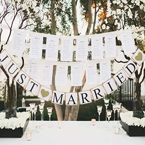 JUST MARRIED Banner Car Decorations, Gold Glitter Just Married Sign Garland for Bridal Shower Decorations, Photo Props and Car Decorations - If you say i do