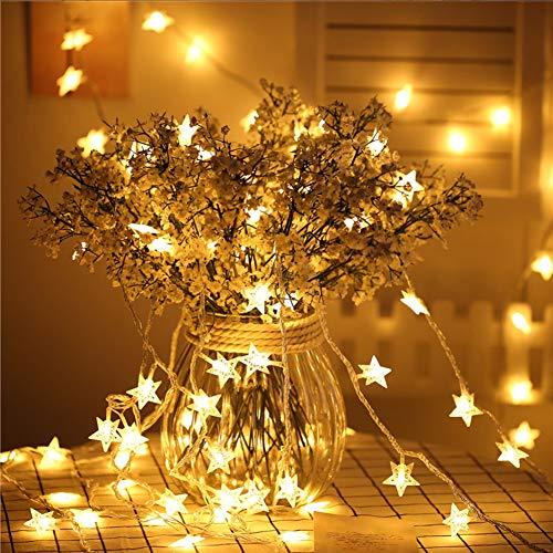 100 LED Star String Lights, Plug in Fairy String Lights Waterproof, Extendable for Indoor, Outdoor, Wedding Party, Christmas Tree - If you say i do