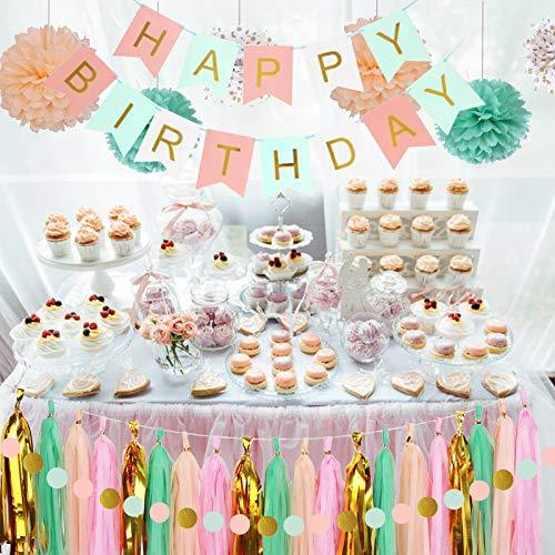 Mint Peach Mint Party Decorations - 23pcs Tissue Pom Poms Streamers, Girls Birthday Tassel Garland Banner,Wedding Engagement Baby Bridal Shower
