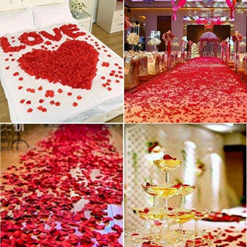 7000 PCS Silk Rose Petals Wedding Flower Wedding Aisle Runner Decorations - If you say i do