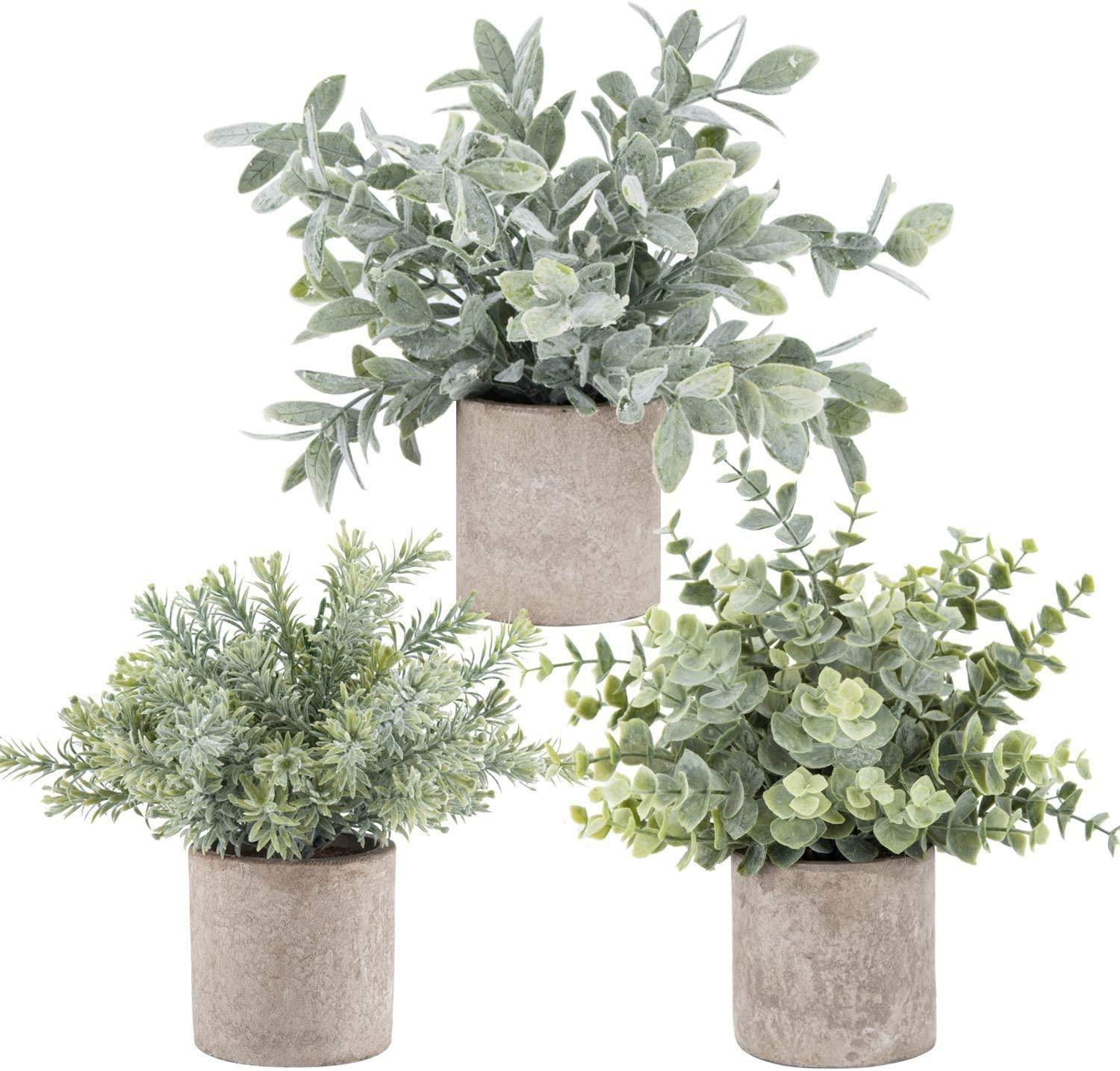 small potted fake succulents 3 Pack Mini Artificial Eucalyptus Plants In Pots For Home, Office, Bathroom, Desk, Shelf, Farmhouse Decor Ophelia & Co