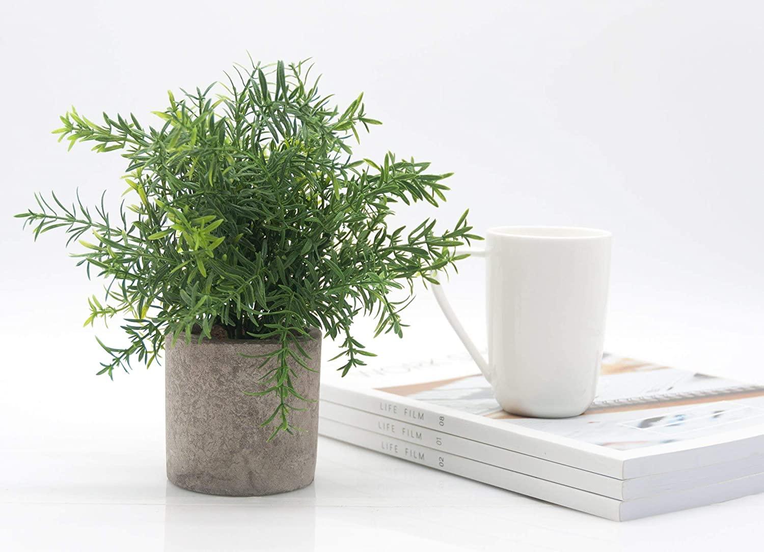 Mini Potted Plastic Fake Green Plant for Home Decor - If you say i do