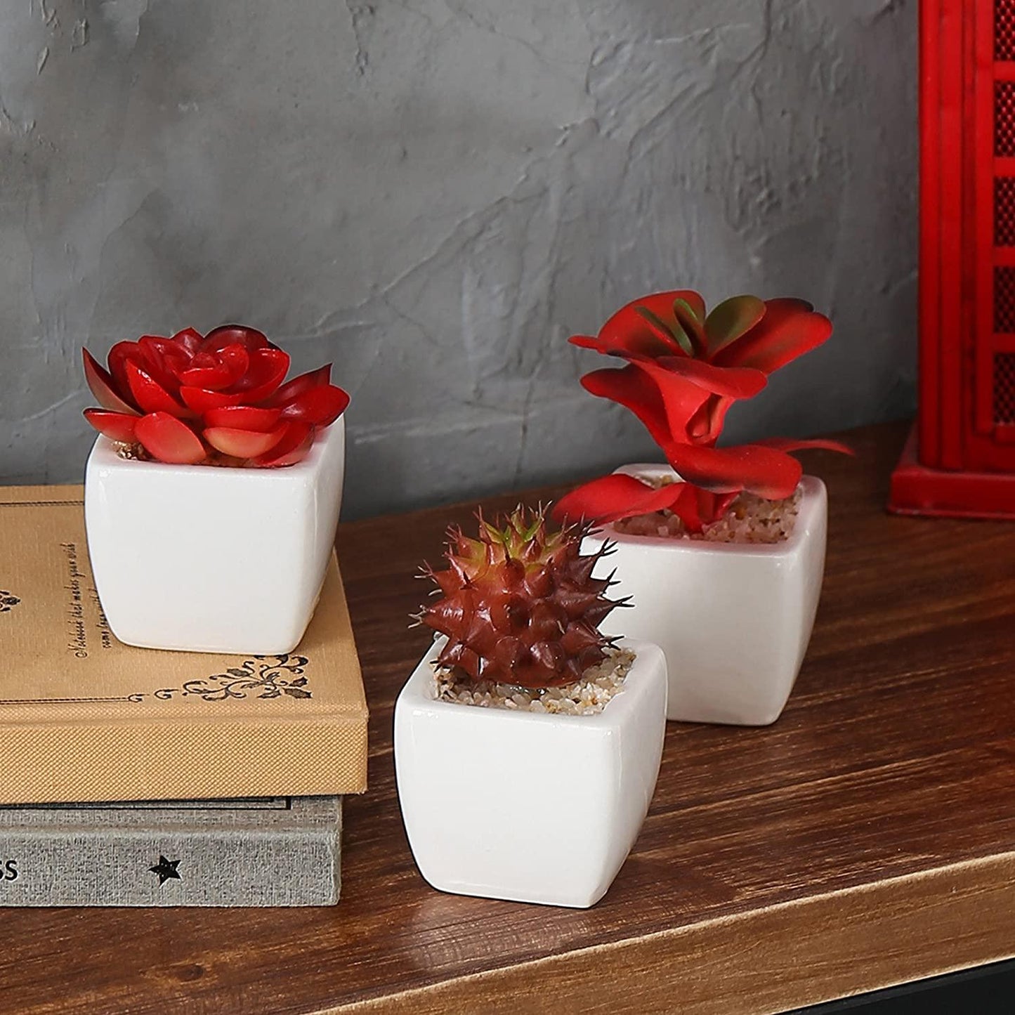 Set of 3 Miniature Red Artificial Succulent Plants in White Ceramic Pots - If you say i do