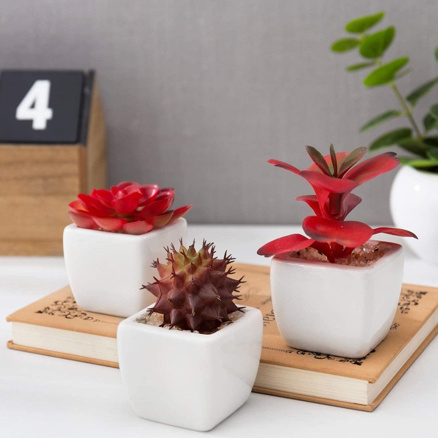 Set of 3 Miniature Red Artificial Succulent Plants in White Ceramic Pots - If you say i do