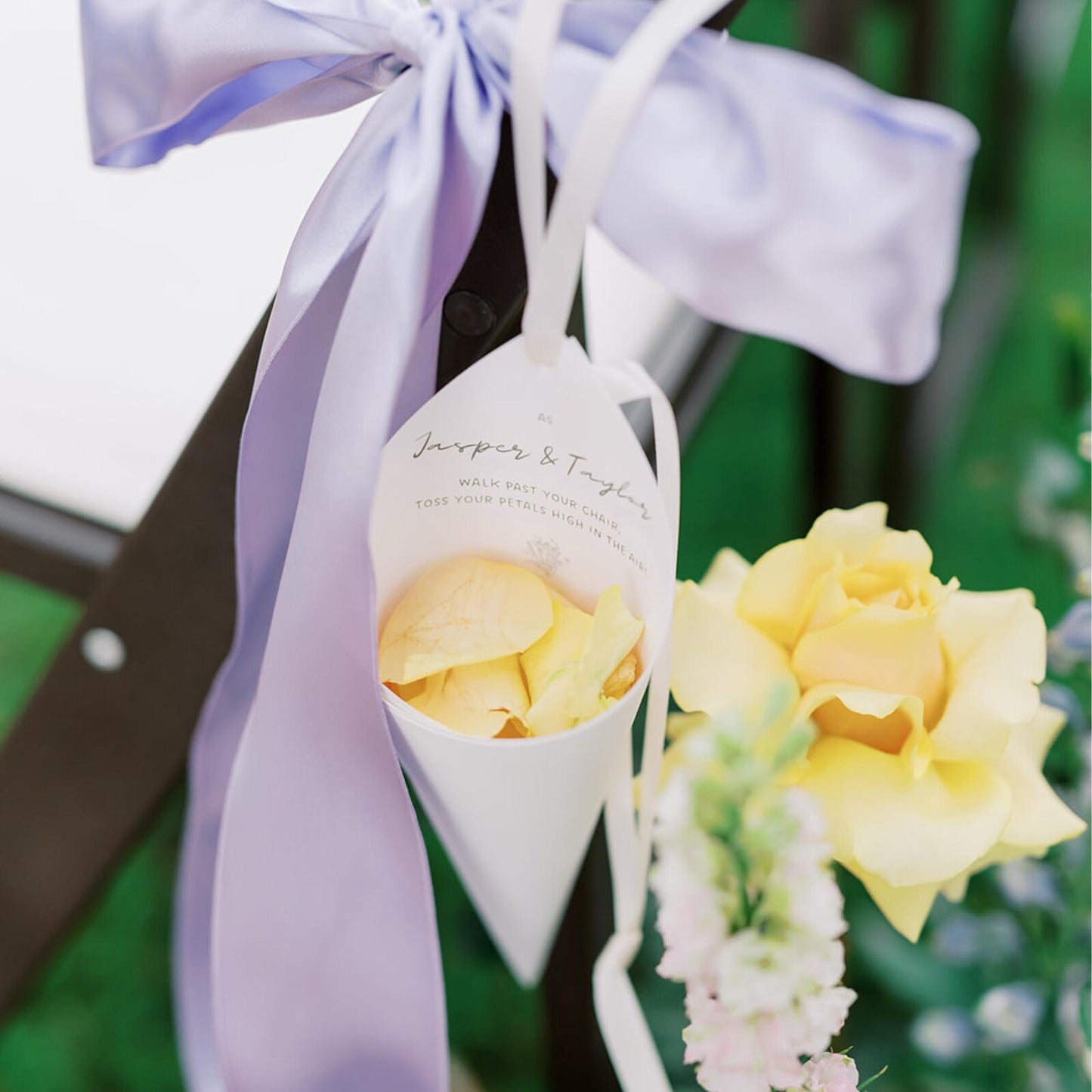 Wedding Petal Cones,Shimmer Wedding Petal Cones with Ivory Ribbon for Wedding Confetti Toss