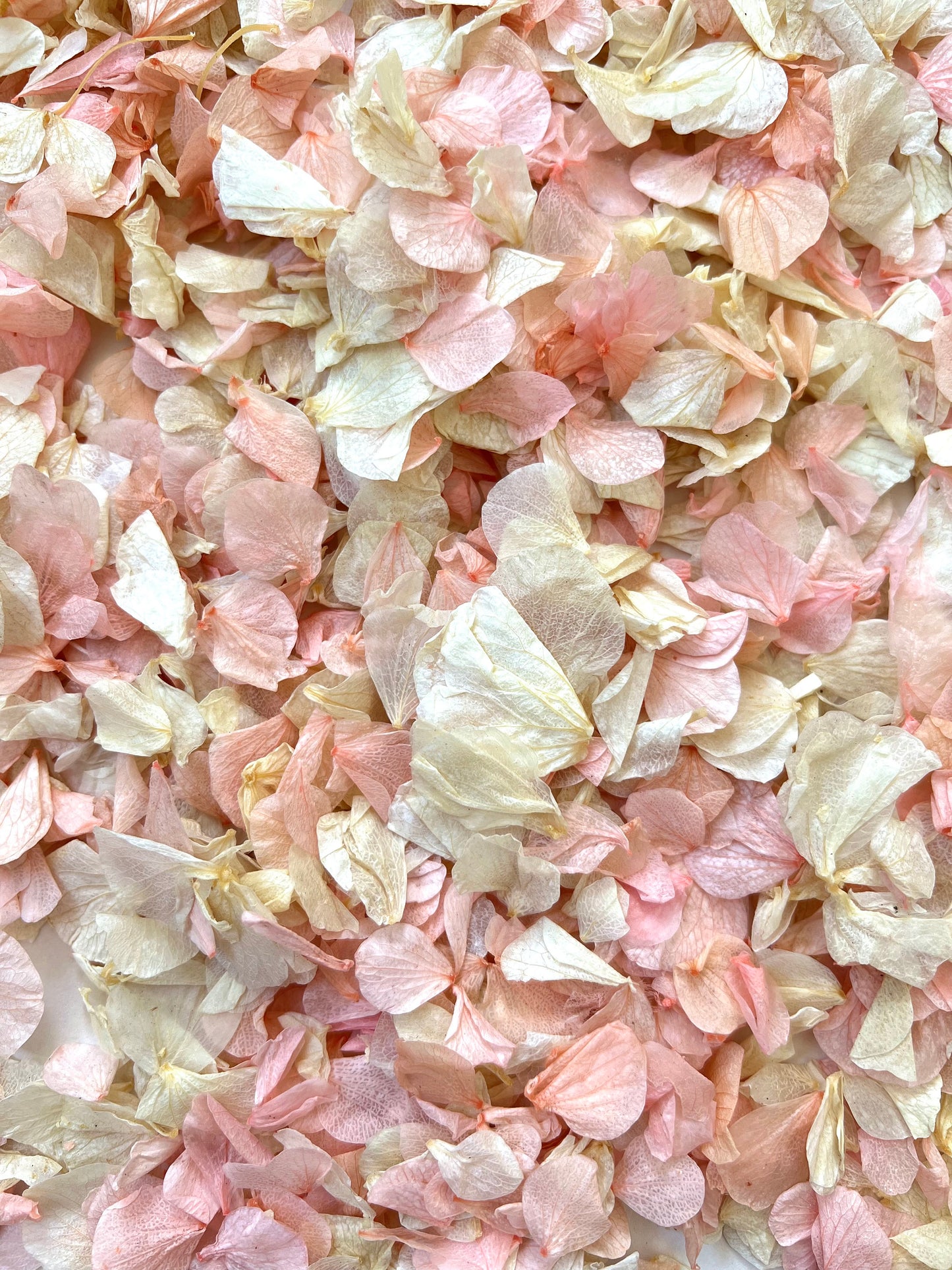 10 Handfuls | Pink Blossom Natural Confetti | 100% Natural & Biodegradable