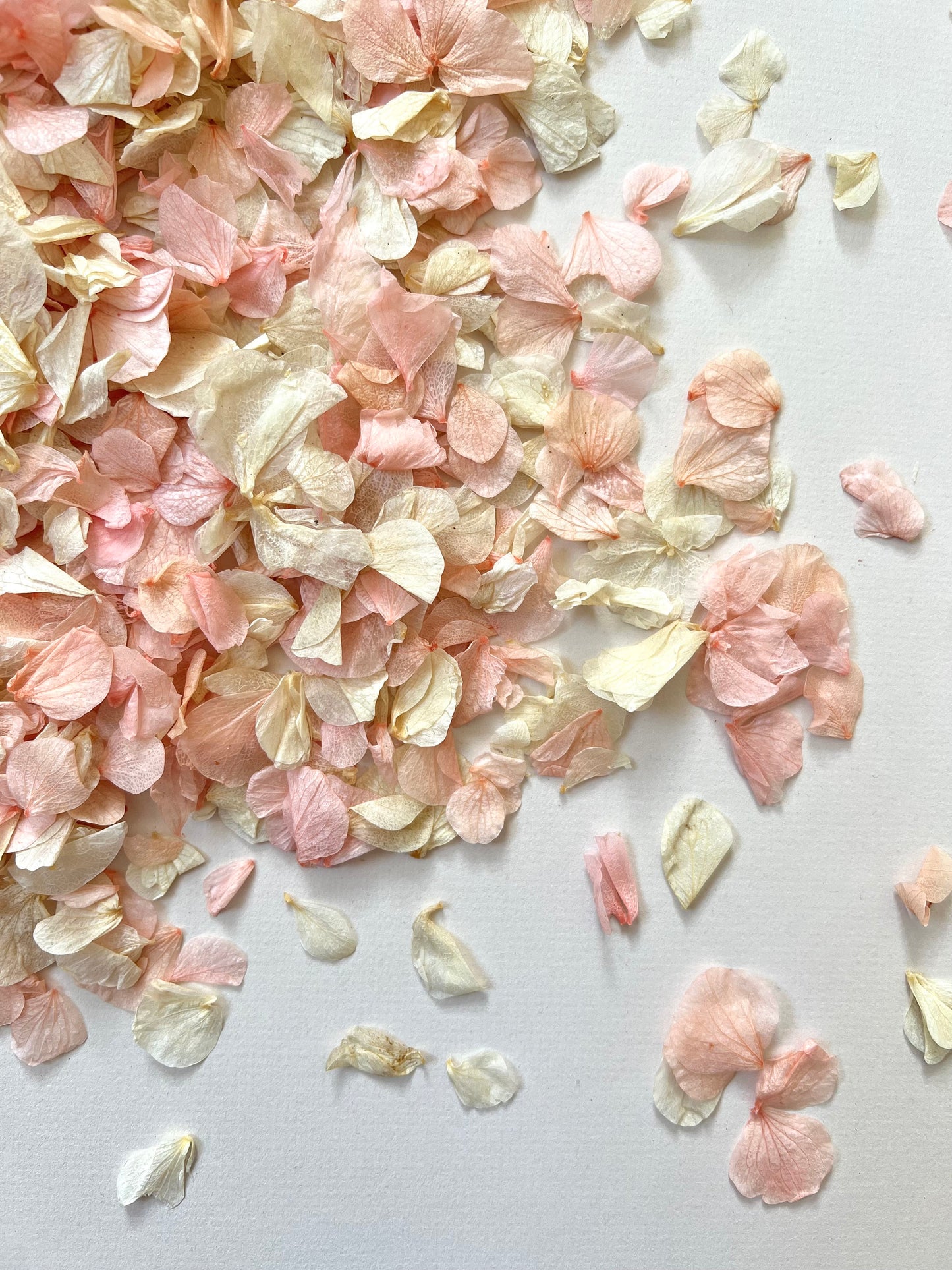 10 Handfuls | Pink Blossom Natural Confetti | 100% Natural & Biodegradable