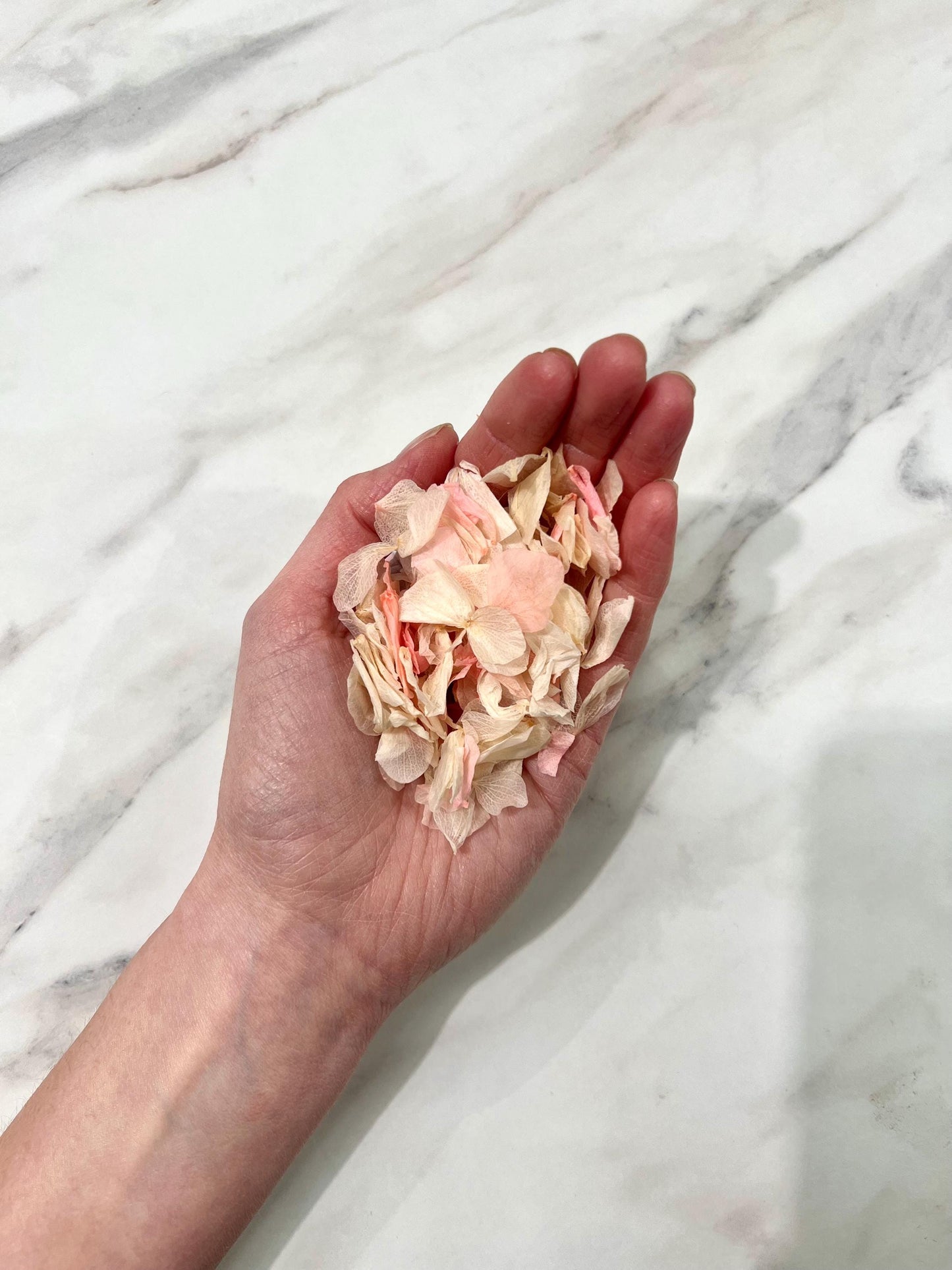 10 Handfuls | Pink Blossom Natural Confetti | 100% Natural & Biodegradable