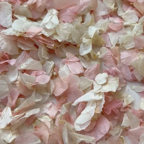 10 Handfuls | Pink Blossom Natural Confetti | 100% Natural & Biodegradable