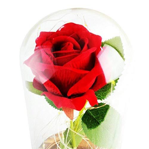 Rose Night Light, Best Birthday Gift for Mom, Gifts for Girlfriend, Red Rose with Light - If you say i do
