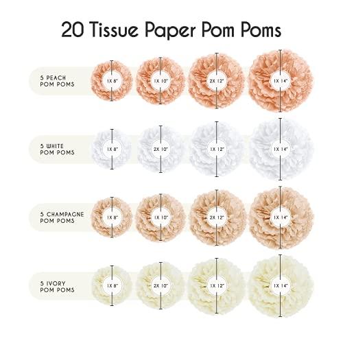 20-Piece Party Decoration Kit ââ‚?Hanging Tissue Paper Pom Poms for Weddings and Other Special Occasions - If you say i do