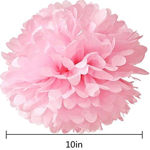 10pcs Tissue Hanging Paper Pom-poms Flower Ball Wedding Party Outdoor Decoration, Premium Tissue Paper Pom Pom Flowers Craft Kit(Pink) - If you say i do