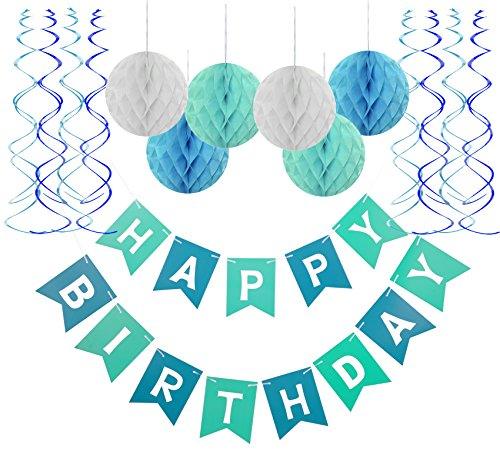 Blue Happy Birthday Banner Honeycomb balls Swirls Streamers for Birthday Party Decorations - If you say i do