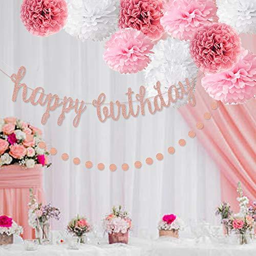 Oumuamua Pink Rose Gold Birthday Party Decorations Set Rose Gold Glittery Happy Birthday Banner Tissue Paper Pom Circle Dots Garland and Tassel Garlan