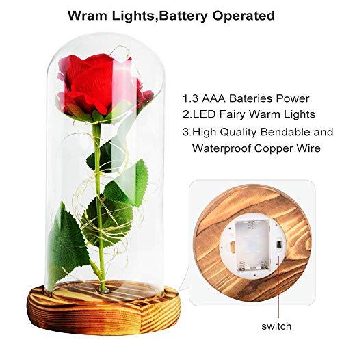 Rose Night Light, Best Birthday Gift for Mom, Gifts for Girlfriend, Red Rose with Light - If you say i do