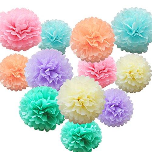 12 Pcs Assorted Rainbow Colors Tissue Paper Pom Poms Flower Balls for Birthday Wedding Party Baby Shower Decorations - If you say i do