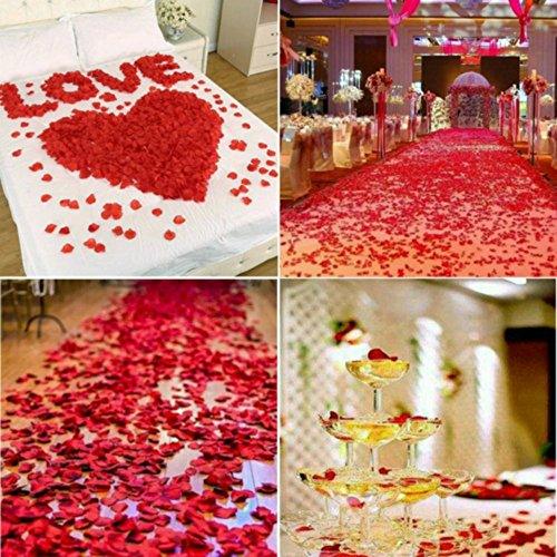 7000 PCS Silk Rose Petals Wedding Flower Wedding Aisle Runner Decorations