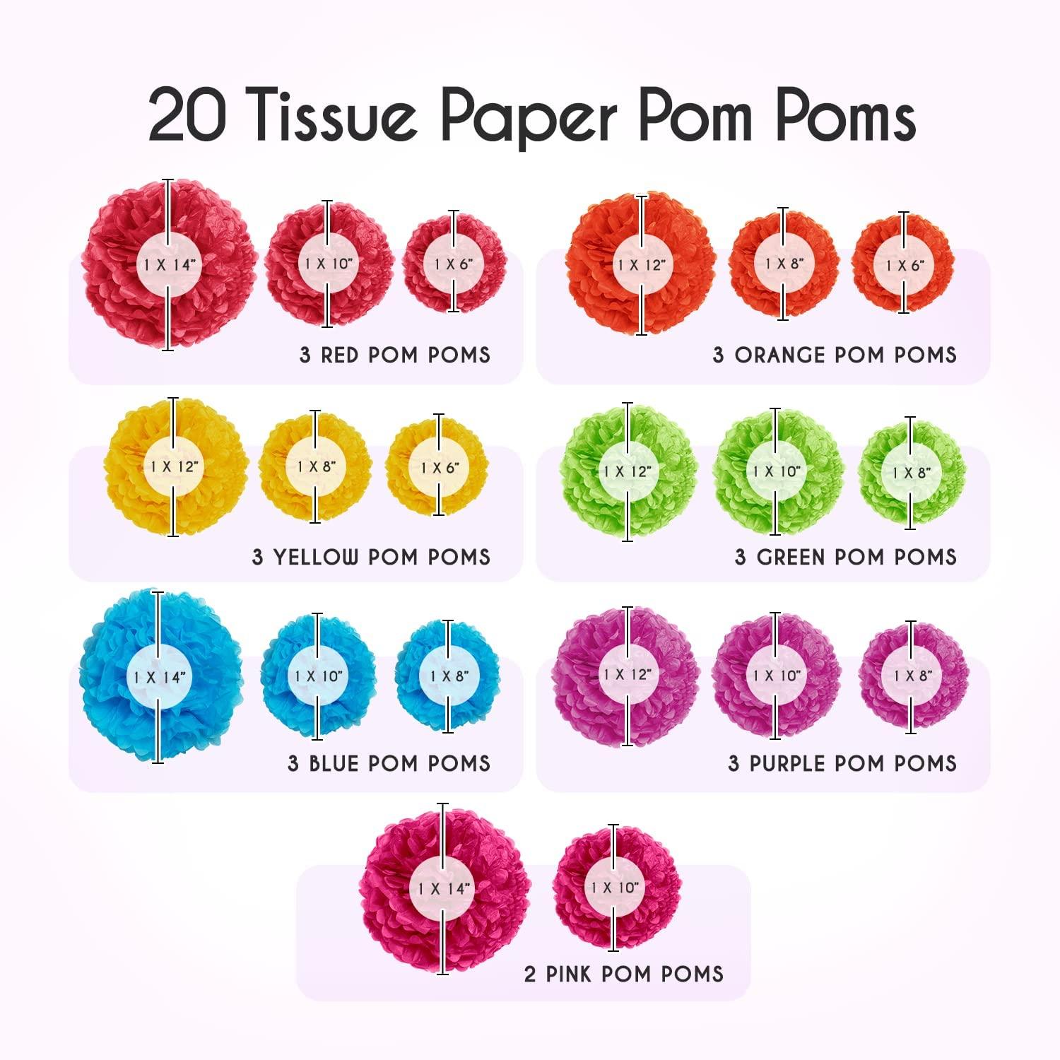 20 Pieces Tissue Paper Pom Poms Party Kit - If you say i do