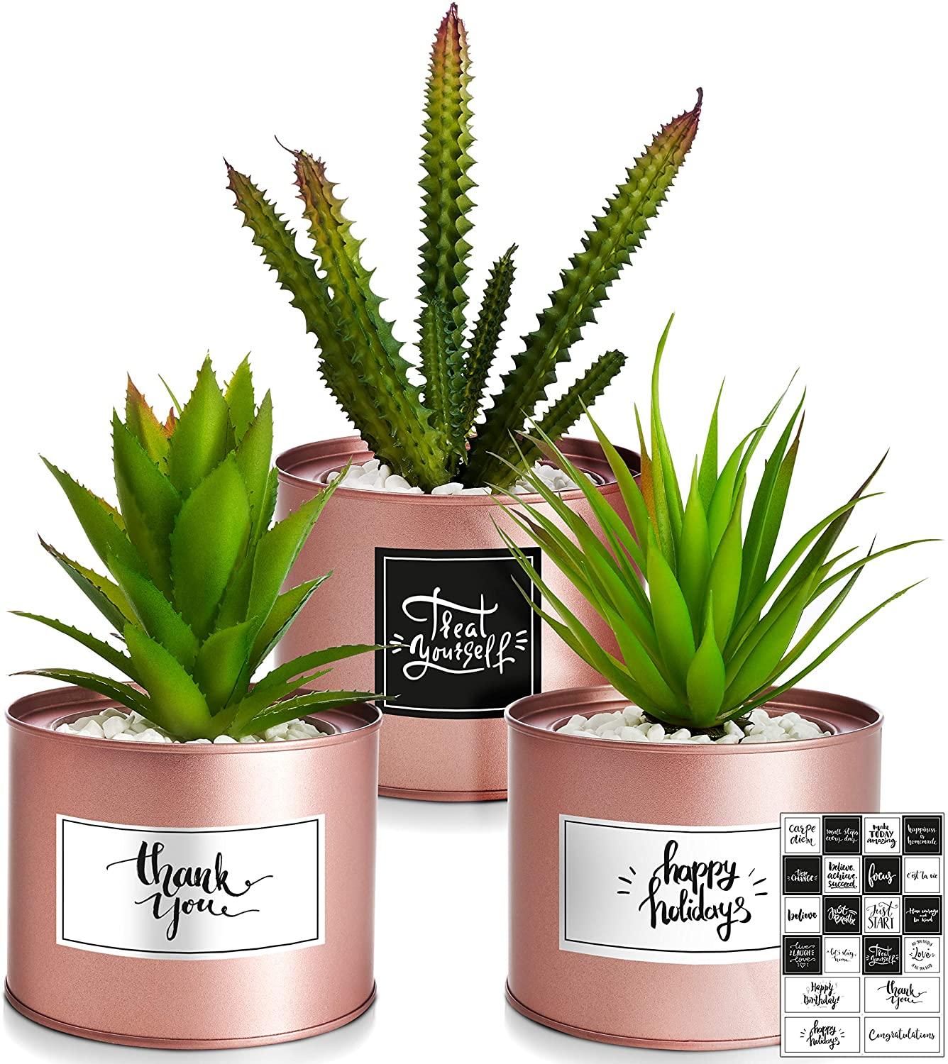 Artificial Succulents Boho Decor Succulents Plants Artificial Desk Accessories for Women Desk Wedding Favors - If you say i do