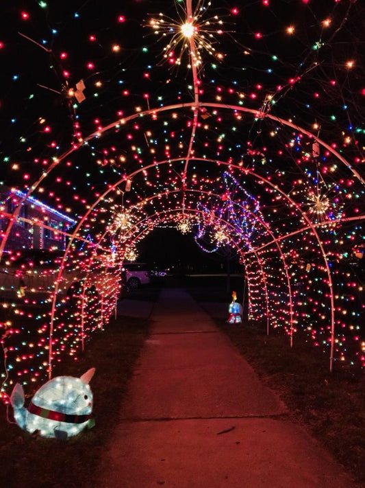 Waterproof Hanging Starburst Lights, Led Christmas Lights - If you say i do