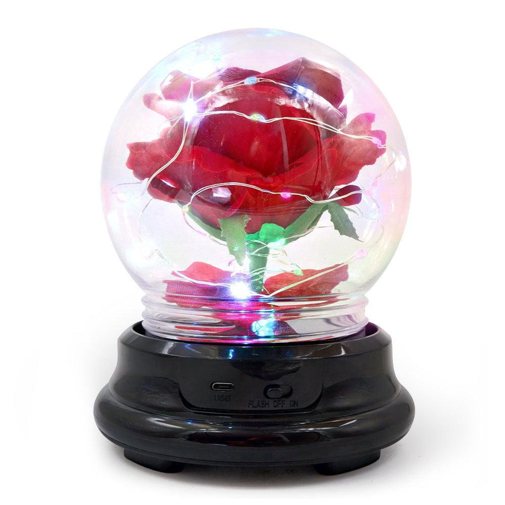 Forever Rose Beauty and The Beast Rose Kit - Mother's Day Gift – If you ...