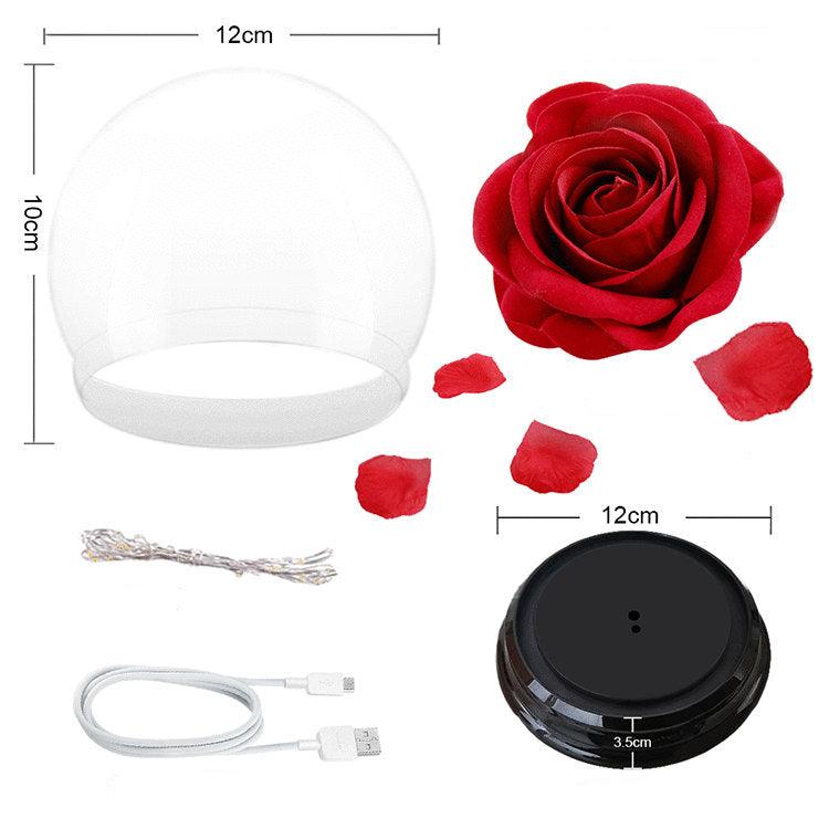 Forever Rose Beauty and The Beast Rose Kit - Mother's Day Gift – If you ...