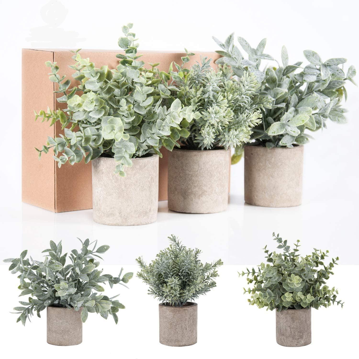 der Rose 3 Pack Mini Potted Fake Plants Artificial Plastic Eucalyptus Plants for Home Office Desk Room Decoration