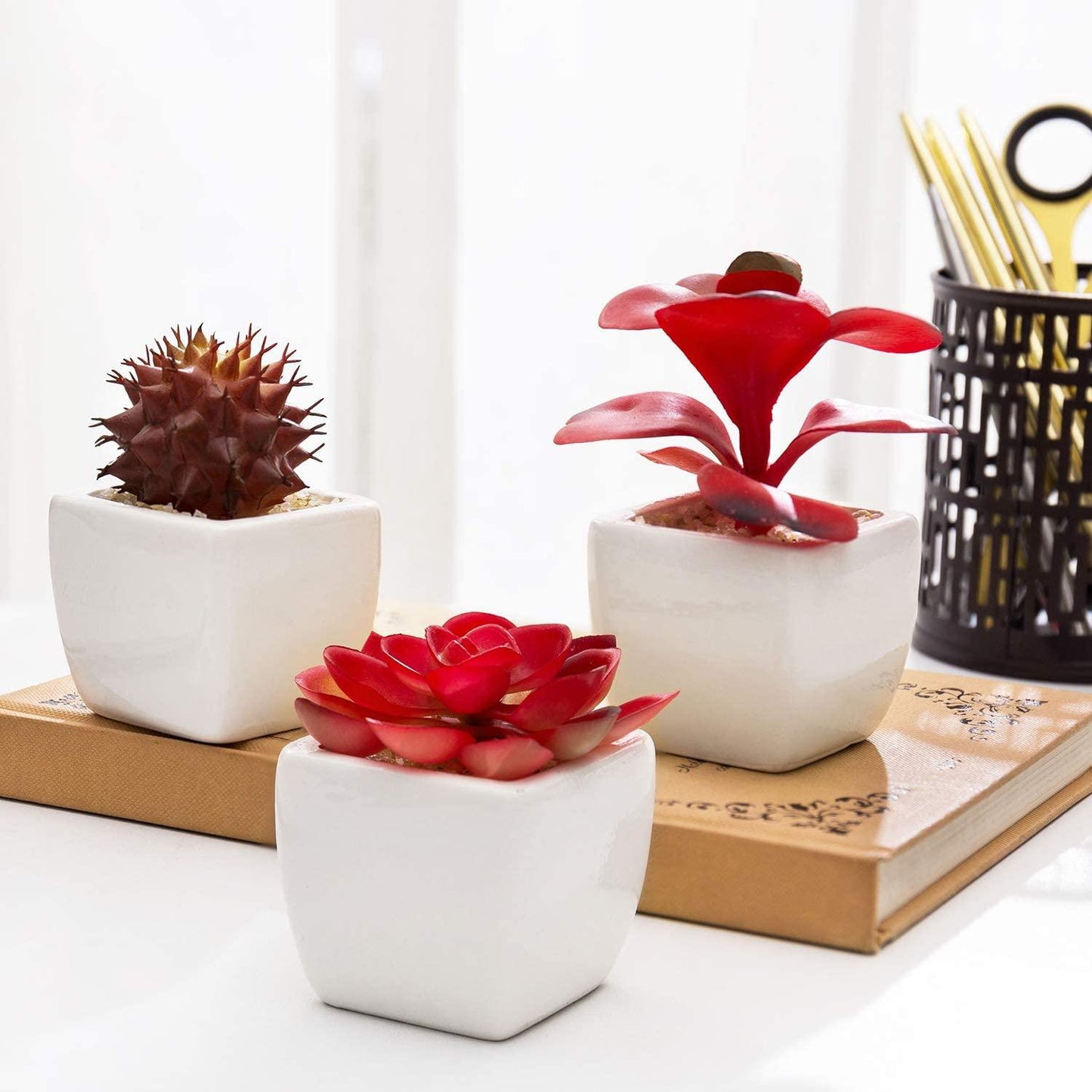 Set of 3 Miniature Red Artificial Succulent Plants in White Ceramic Pots - If you say i do
