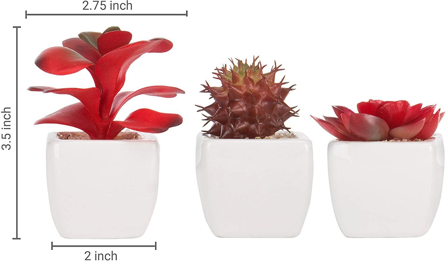 Set of 3 Miniature Red Artificial Succulent Plants in White Ceramic Pots - If you say i do